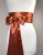 sash_copper_brown