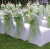 sash_green_organza_shimmer