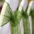 sash_olive_green_organza