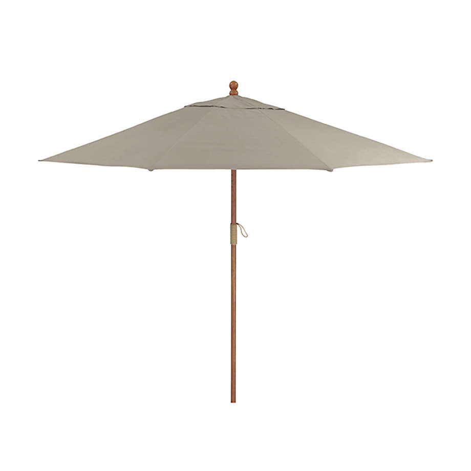 umbrella